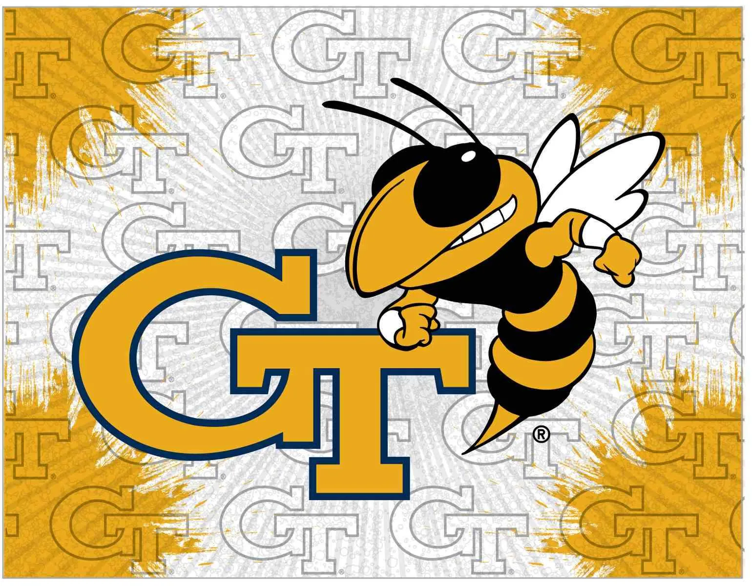 Georgia Tech Yellow Jackets HBS Gray Gold Wall Canvas Art Picture Print