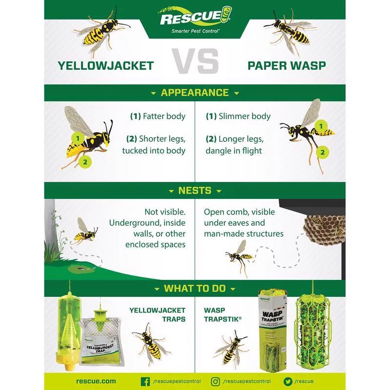 RESCUE Yellow Jacket Trap